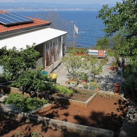 Double Medveja 7775c 3*