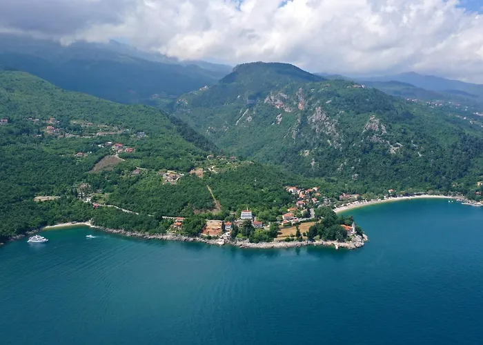 Double Medveja 7775c