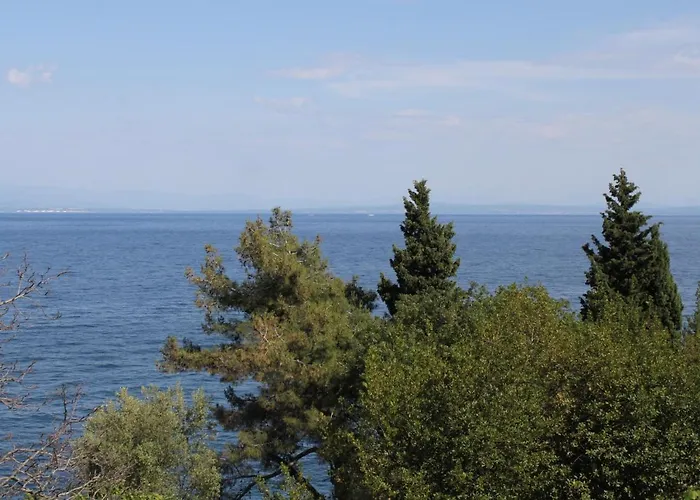 Double Medveja 7775c 3*