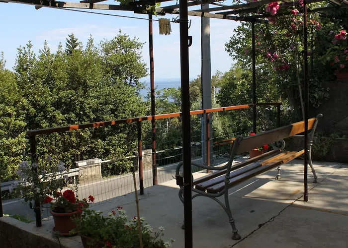 Double Medveja 7775c 3*